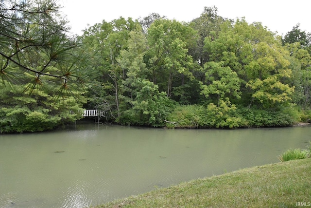 view of water feature