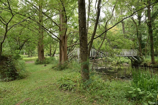 view of local wilderness featuring a water view