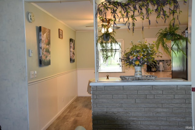 room details featuring hardwood / wood-style flooring and ornamental molding