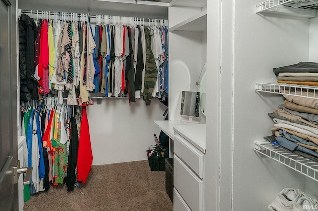 walk in closet with carpet flooring