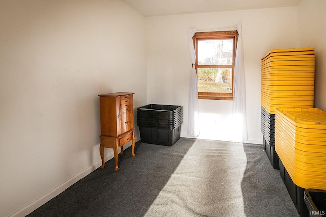 living area with dark colored carpet