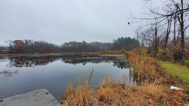 view of dock with a water view