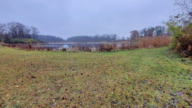 view of yard featuring a rural view