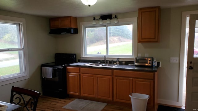 kitchen with ventilation hood, black electric range oven, hardwood / wood-style flooring, and sink