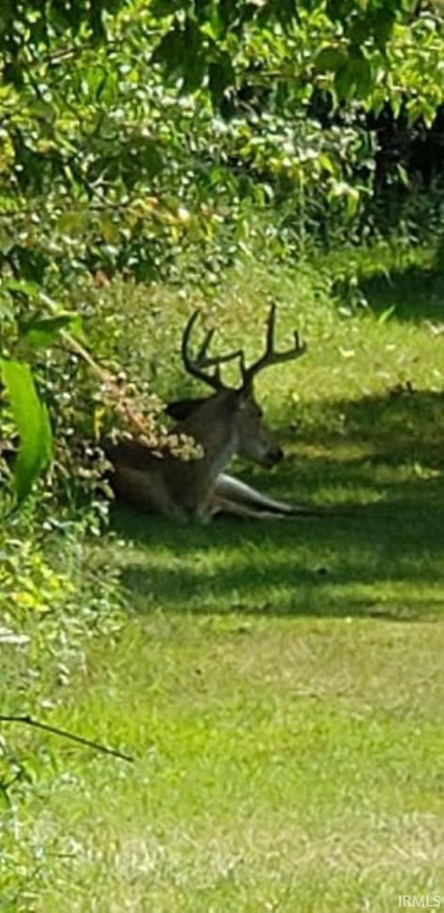 view of nature