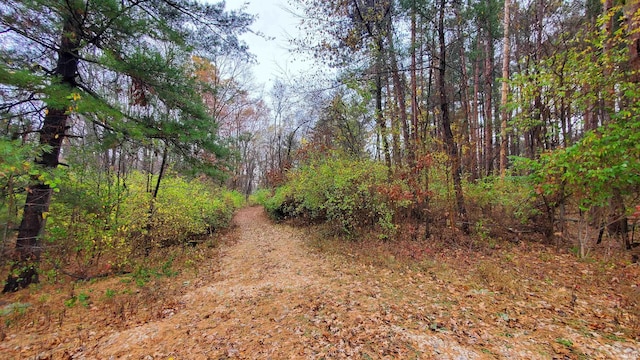 view of road