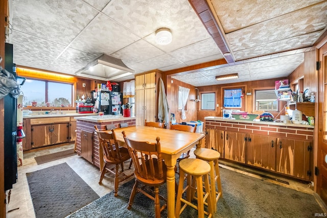 dining area featuring sink and wooden walls