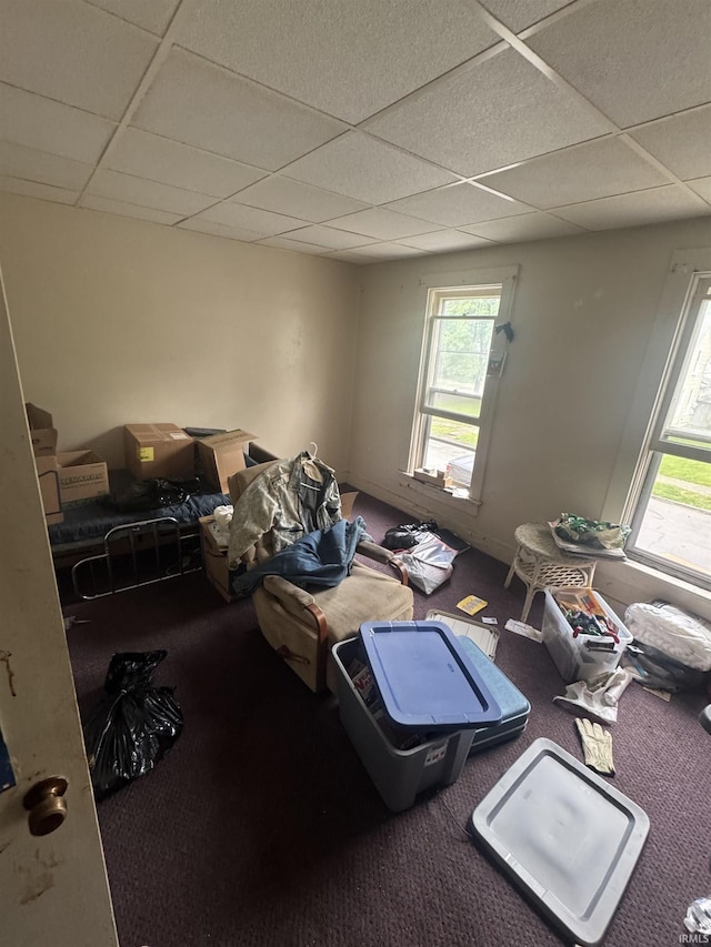 carpeted bedroom featuring a drop ceiling