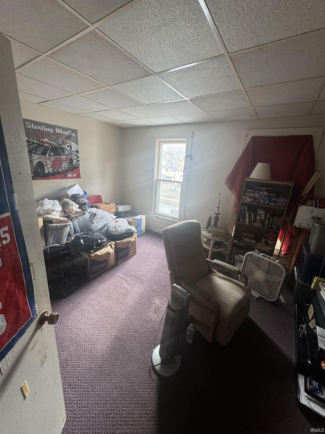 interior space featuring carpet and a drop ceiling