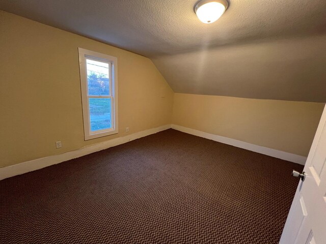 additional living space with carpet flooring, a textured ceiling, and vaulted ceiling