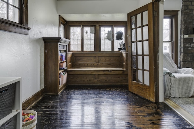 interior space featuring dark hardwood / wood-style flooring, a healthy amount of sunlight, and french doors