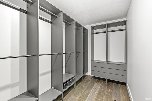 walk in closet with dark hardwood / wood-style floors