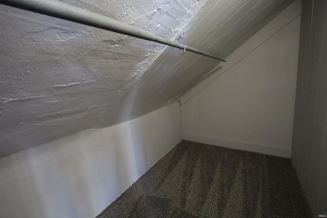 additional living space featuring carpet and vaulted ceiling