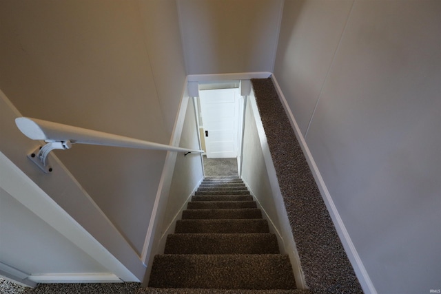 stairs featuring carpet flooring