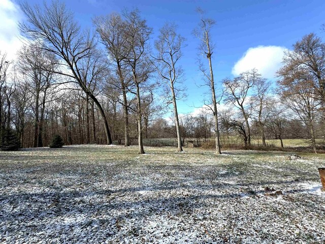 3020 10 Oclock Rd, Bloomingdale, IN 47832 - view of yard