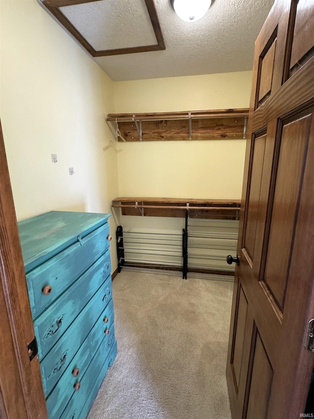 3020 10 Oclock Rd, Bloomingdale, IN 47832 - spacious closet featuring light colored carpet