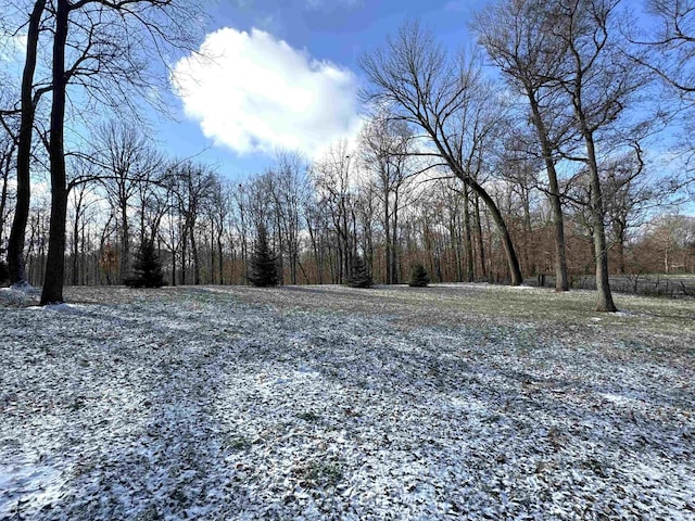 3020 10 Oclock Rd, Bloomingdale, IN 47832 - view of yard featuring a wooded view
