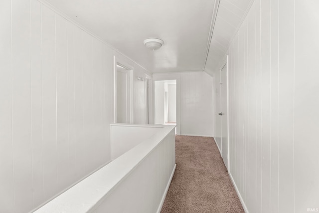 hallway featuring carpet flooring and wood walls