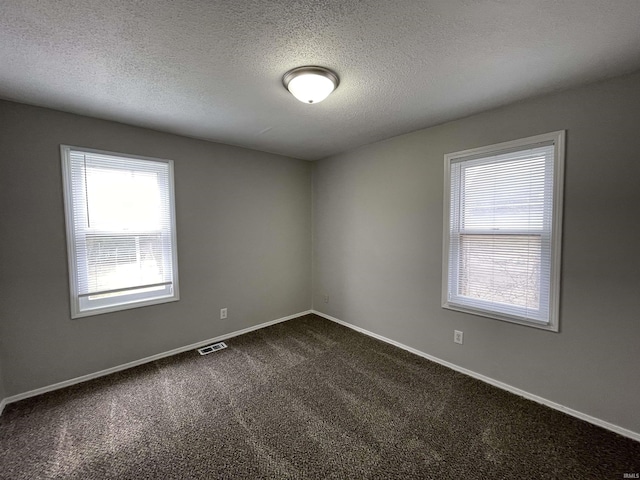 unfurnished room featuring a textured ceiling and carpet floors