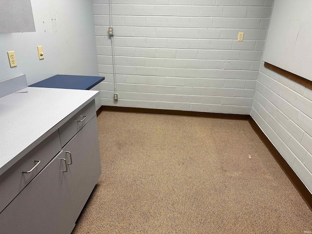 clothes washing area featuring carpet flooring