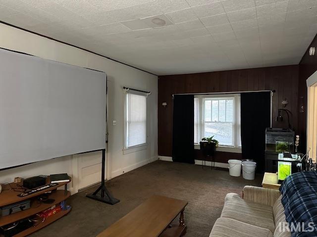 carpeted living room featuring a healthy amount of sunlight and wood walls