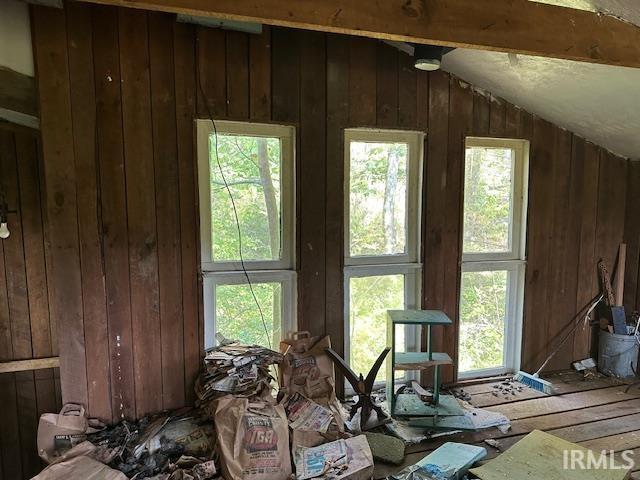 miscellaneous room with lofted ceiling, a healthy amount of sunlight, and wood walls