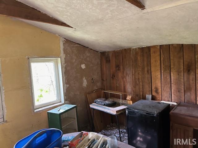 miscellaneous room featuring wooden walls and vaulted ceiling