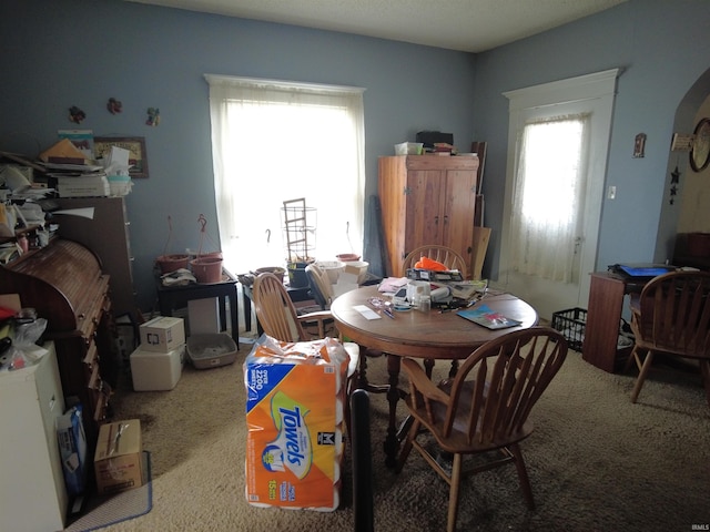 dining space featuring carpet flooring