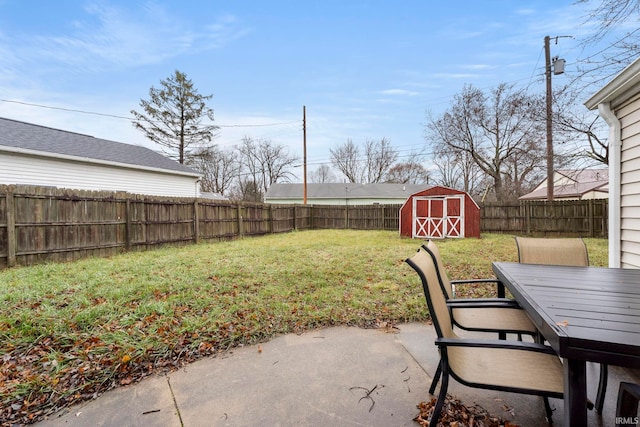 view of yard with a patio area and a storage unit