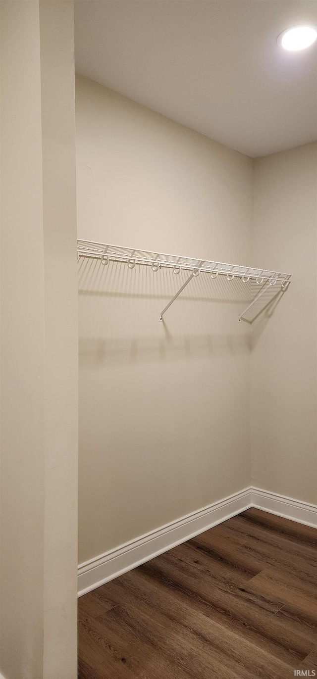 spacious closet featuring dark wood-type flooring