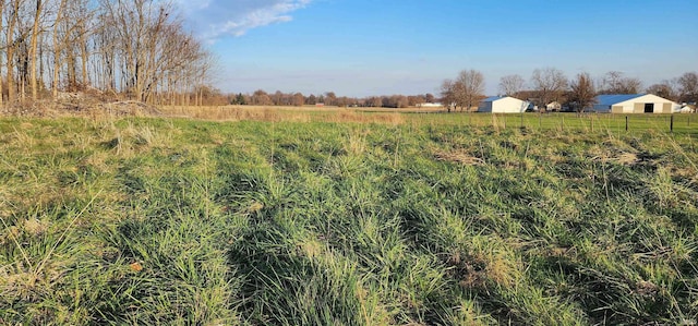 view of yard featuring a rural view