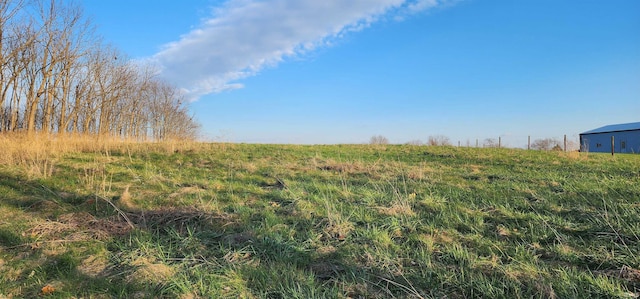 view of local wilderness featuring a rural view