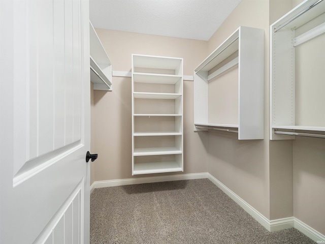 spacious closet with carpet flooring