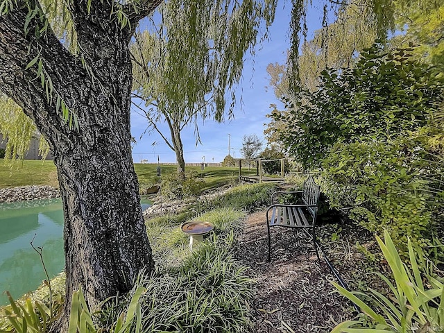 view of yard with a water view