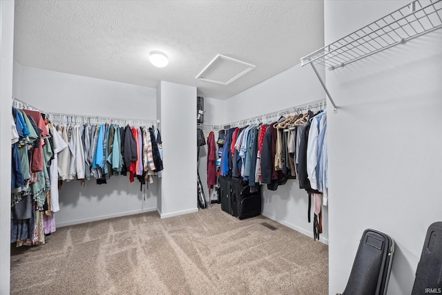 spacious closet featuring carpet