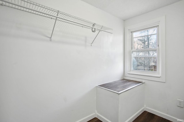 spacious closet featuring dark hardwood / wood-style floors