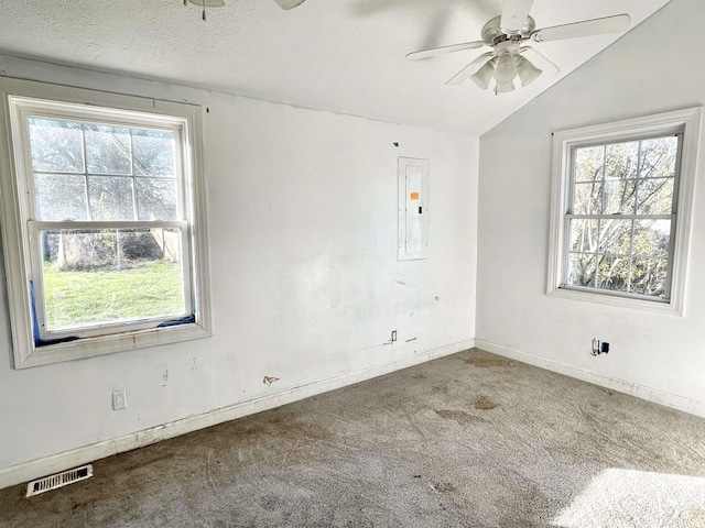 carpeted empty room featuring a textured ceiling, electric panel, vaulted ceiling, and plenty of natural light