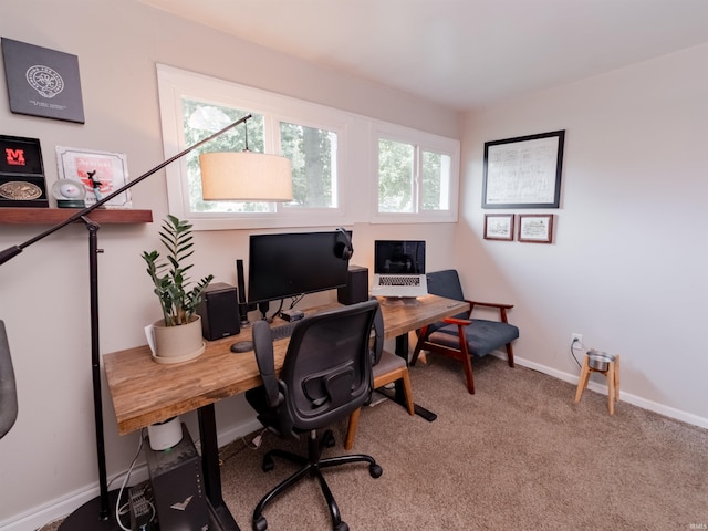 office area featuring carpet and plenty of natural light