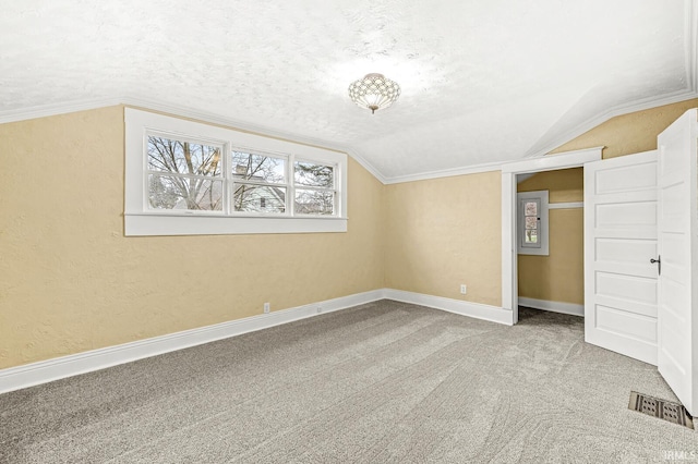 additional living space featuring carpet flooring, a textured ceiling, and vaulted ceiling