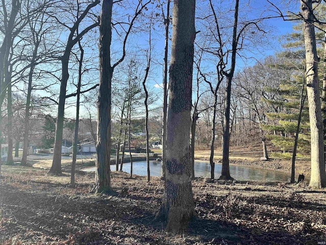 view of yard with a water view