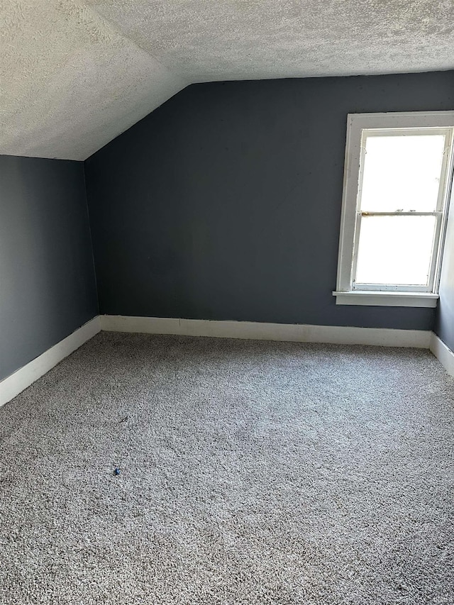 additional living space featuring carpet, a textured ceiling, and vaulted ceiling