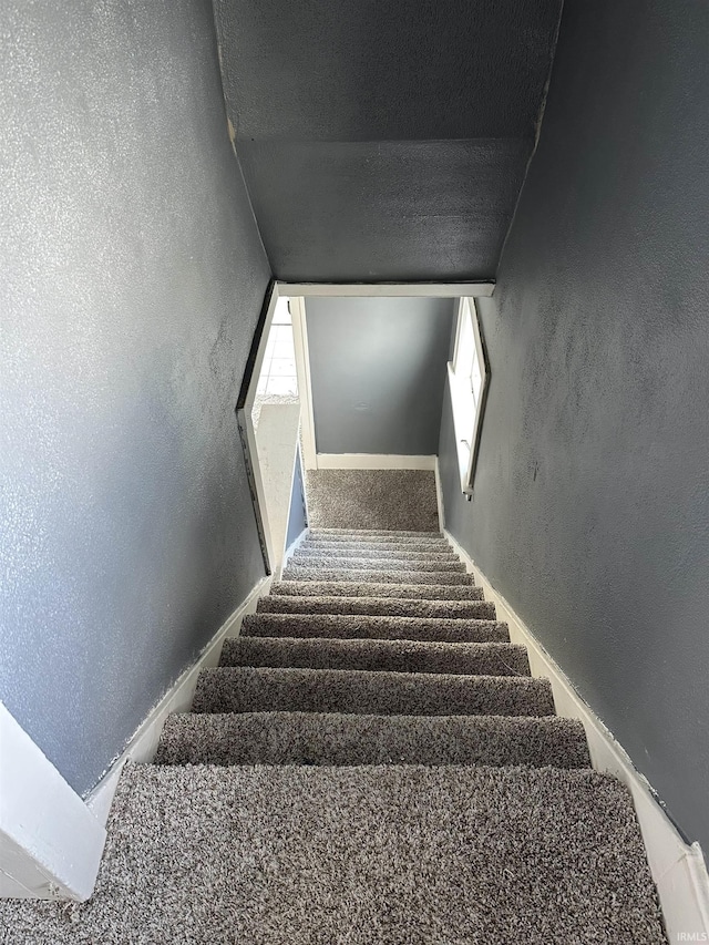 stairway featuring carpet