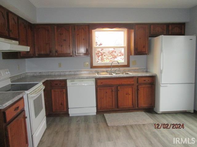 kitchen featuring white appliances, sink, and light hardwood / wood-style flooring