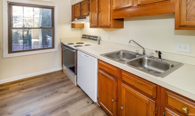 kitchen with sink, white appliances, and light hardwood / wood-style floors