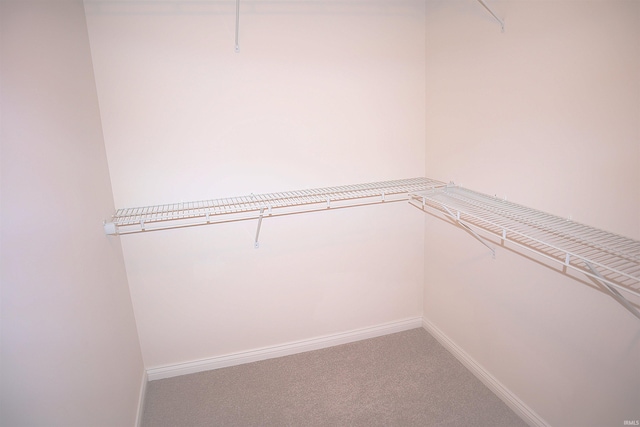 spacious closet with carpet flooring