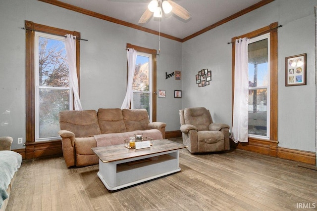 living room with light hardwood / wood-style flooring, ceiling fan, and ornamental molding