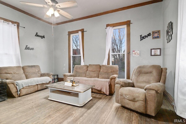 living room with light hardwood / wood-style floors, ceiling fan, and ornamental molding