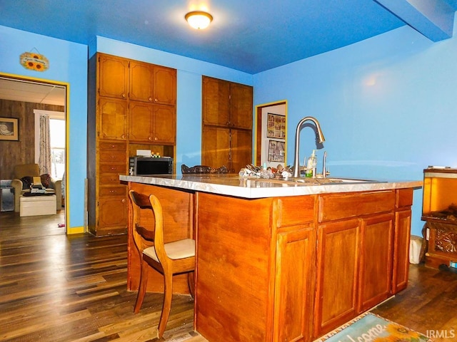 kitchen with dark hardwood / wood-style floors, sink, and an island with sink