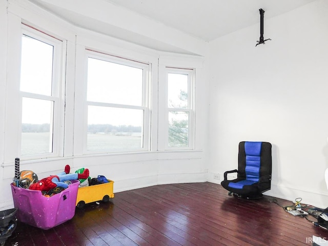 recreation room featuring wood-type flooring