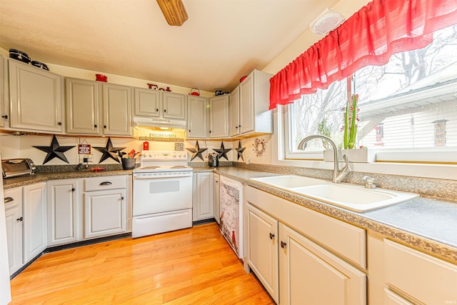 kitchen with sink, white electric range oven, and light hardwood / wood-style flooring